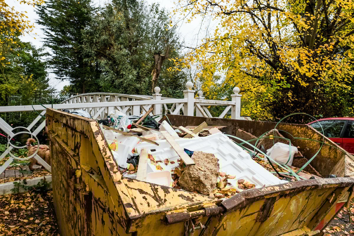 domestic delivery of skip